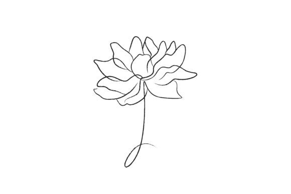 Lotus Vector Line Drawing Illustration